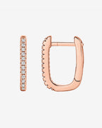 Arlo Hoops