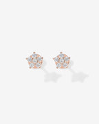 Shinny Flower Stud Screw Back Earrings