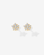 Shinny Flower Stud Screw Back Earrings