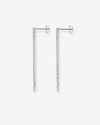 Chain Crawler Dangle Earrings