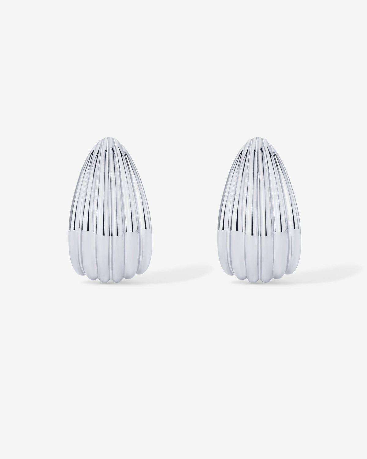 Seashell Stud Earrings