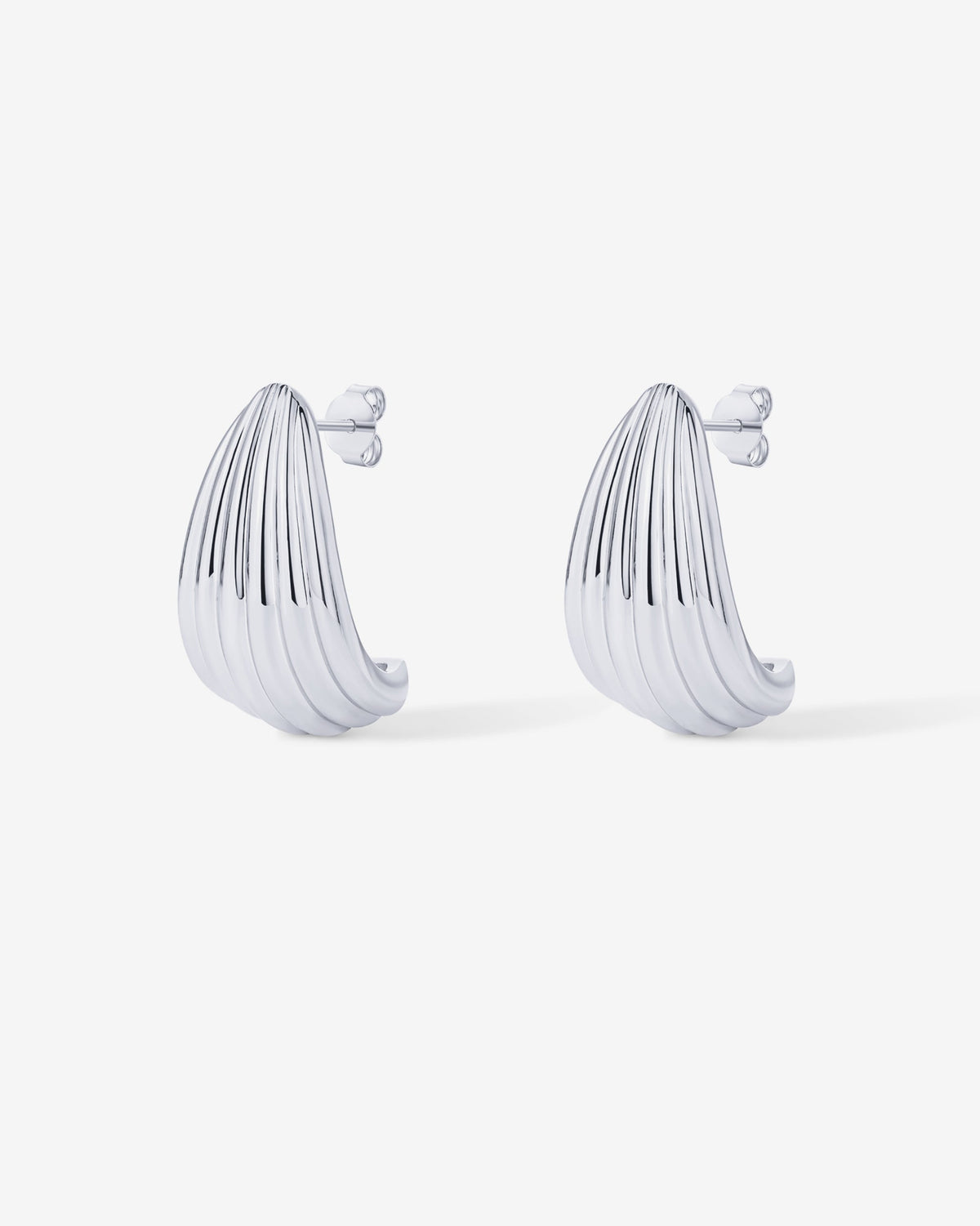 Seashell Stud Earrings