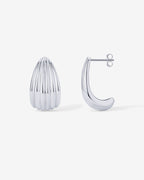 Seashell Stud Earrings