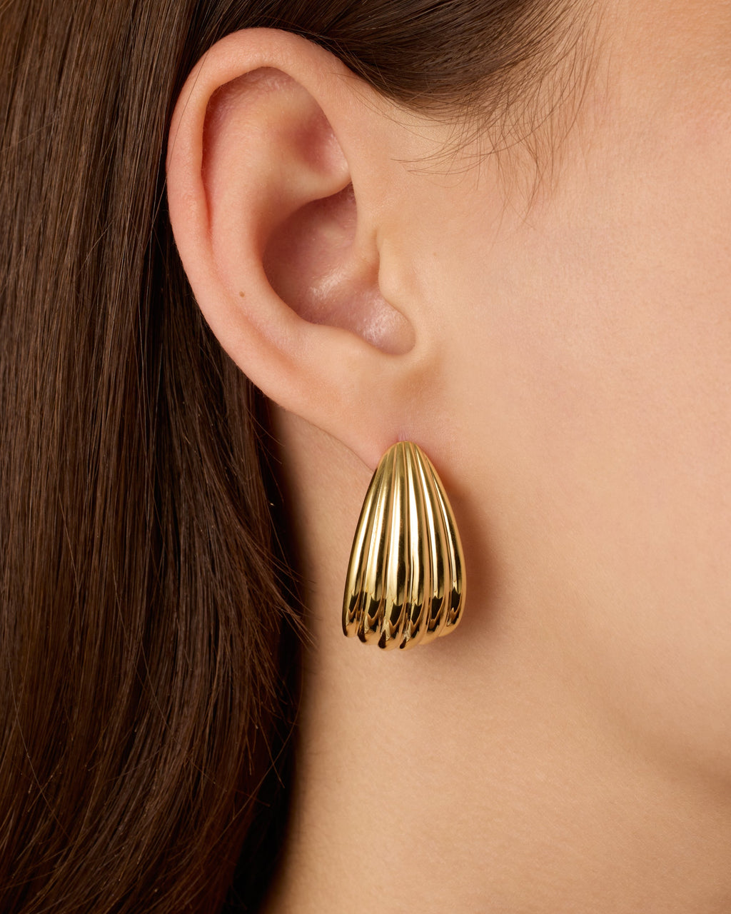 Seashell Stud Earrings
