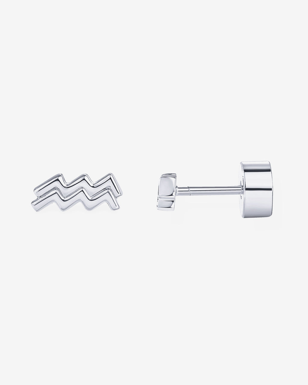 What's Your Sign Horoscope Earrings