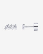 What's Your Sign Horoscope Earrings