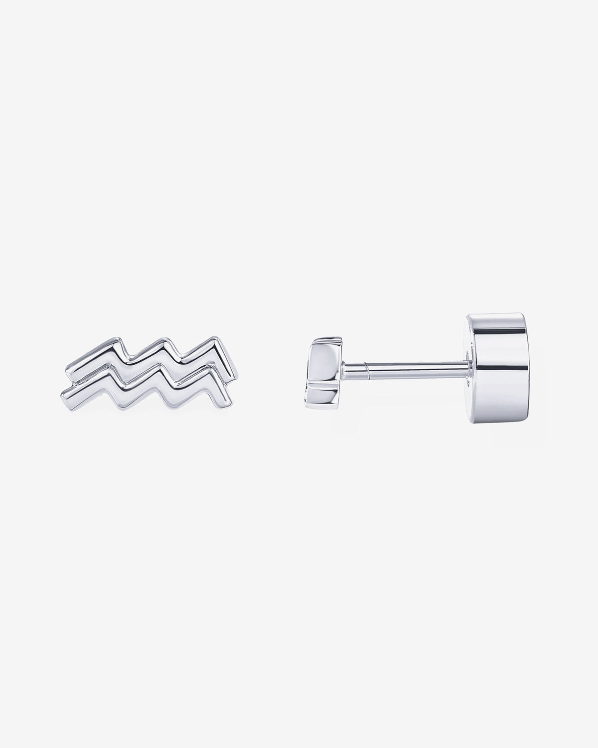 What's Your Sign Horoscope Earrings