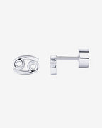 What's Your Sign Horoscope Earrings
