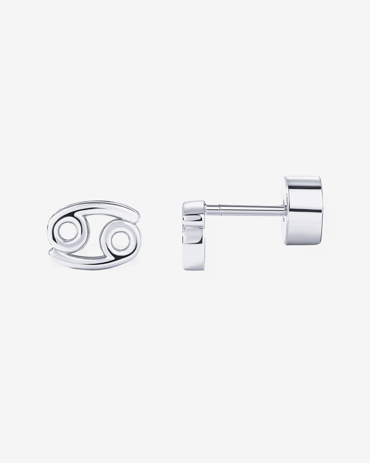 What's Your Sign Horoscope Earrings