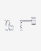 What's Your Sign Horoscope Earrings