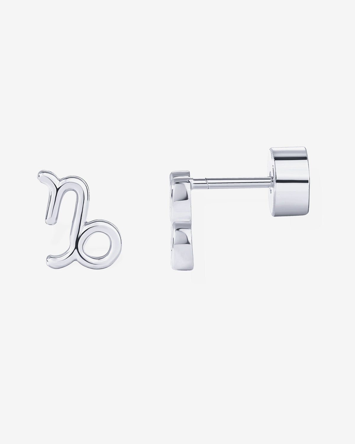 What's Your Sign Horoscope Earrings