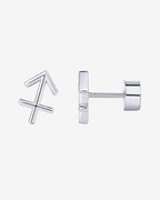 What's Your Sign Horoscope Earrings