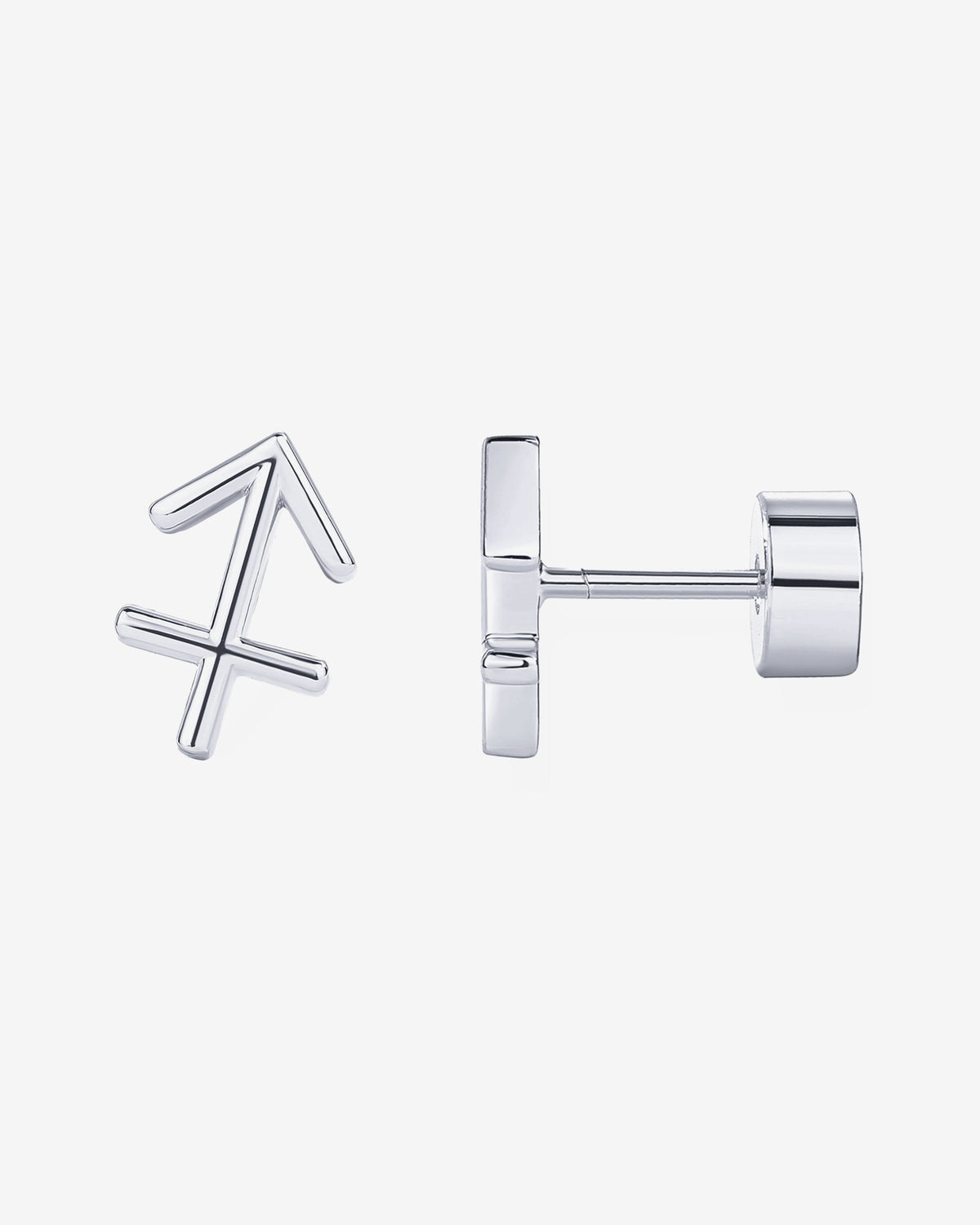 What's Your Sign Horoscope Earrings