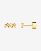 What's Your Sign Horoscope Earrings