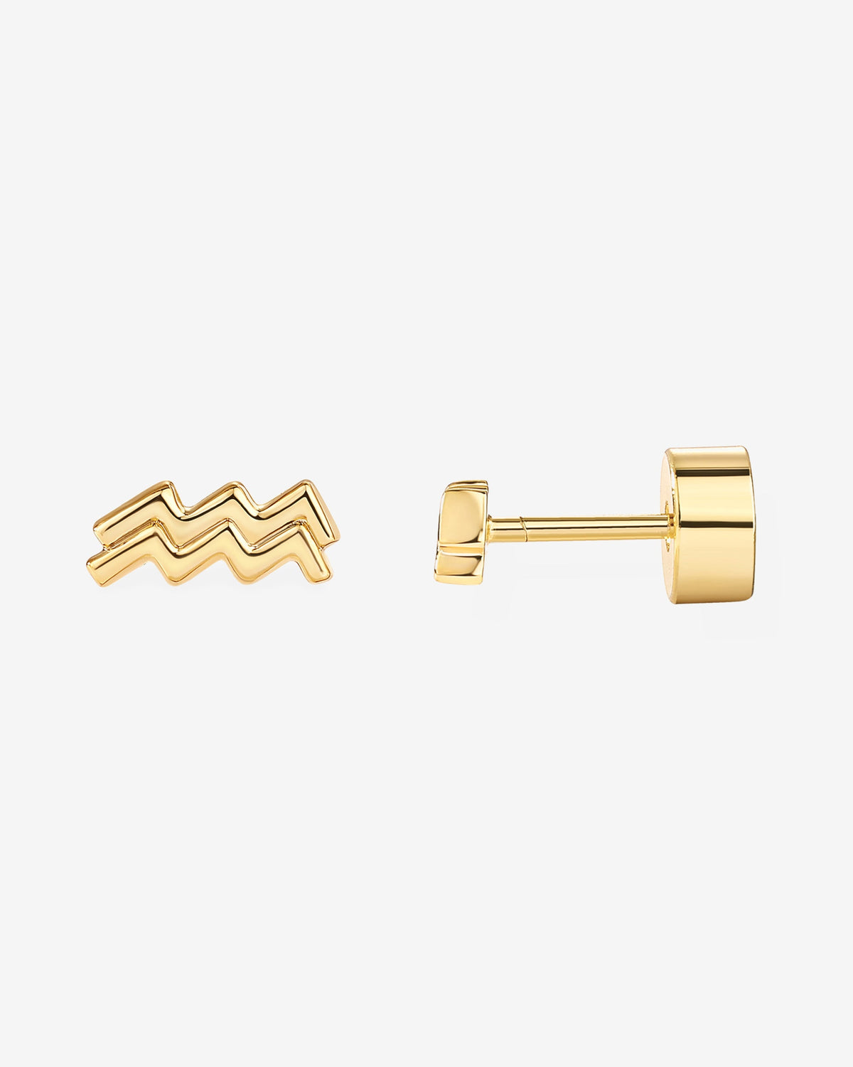 What's Your Sign Horoscope Earrings