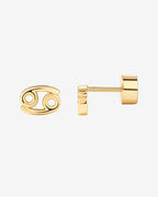 What's Your Sign Horoscope Earrings