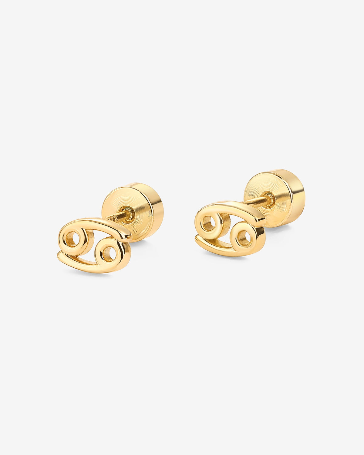 What's Your Sign Horoscope Earrings