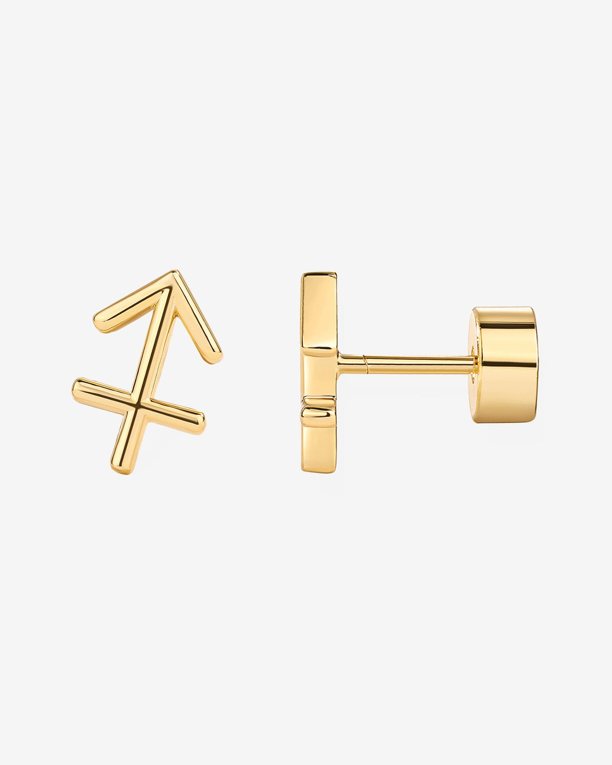 What's Your Sign Horoscope Earrings