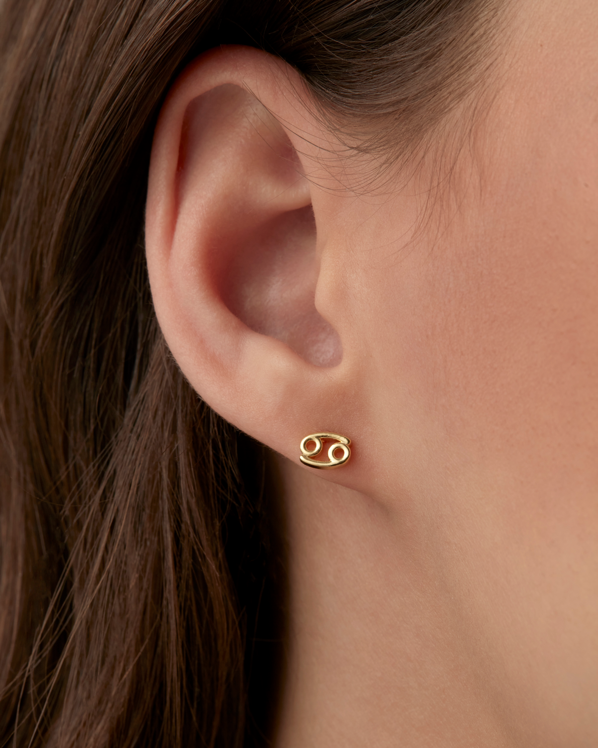 What's Your Sign Horoscope Earrings