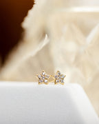 Celestial Studs