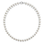 Shell Pearl Necklace